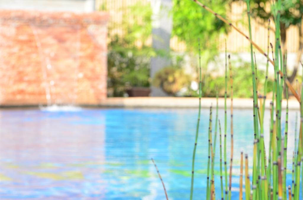 Veraneante Resort Panglao Kültér fotó